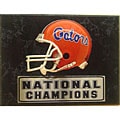 Florida Gators 9x12 Helmet Plaque