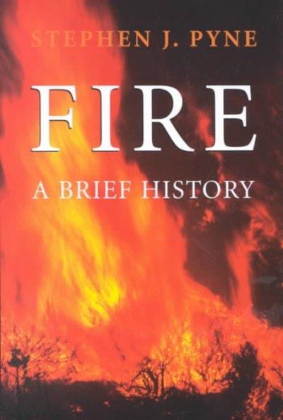 Fire A Brief History (Paperback)   Shopping   The Best