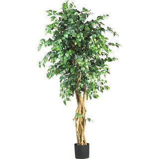 The Curated Nomad Zaius Silk Palace Style 6-foot Ficus Tree - Green