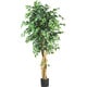 preview thumbnail 1 of 1, The Curated Nomad Zaius Silk Palace Style 6-foot Ficus Tree - Green