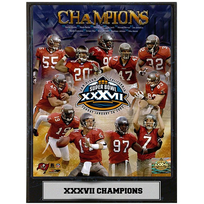 super bowl xxvii champions