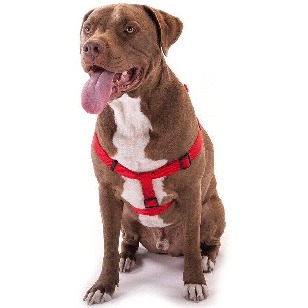 large dog harness