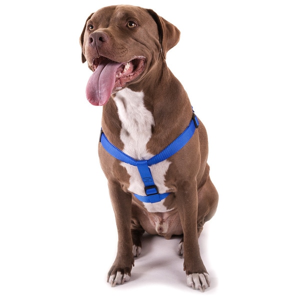 step in harness for large dogs