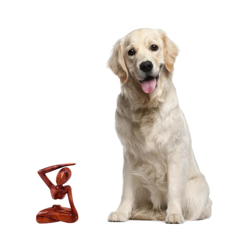 Wood Graceful Arc Statuette