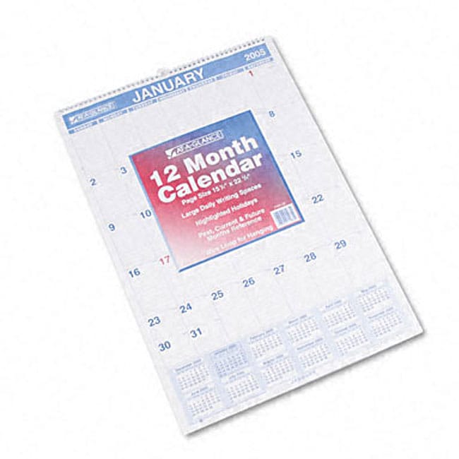 At a glance Blue ink Ruled Daily Blocks Monthly Wall Calendar