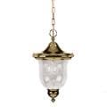 Shop Aztec Lighting Polished Brass Outdoor Pendant - Free Shipping On
