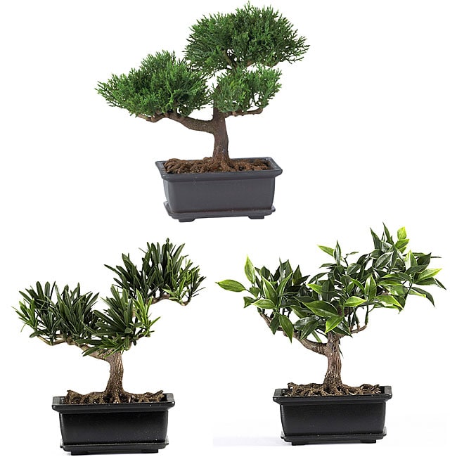 Bonsai Silk Plant Collection (set Of 3)