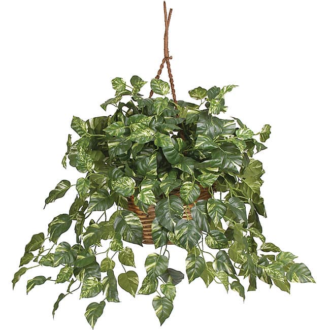 Pothos Silk Plant in Hanging Basket - Green