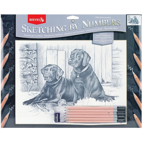 Black Labrador Sketching By Number Kit (13 x 16)