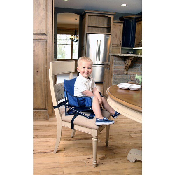 regalo my chair portable booster