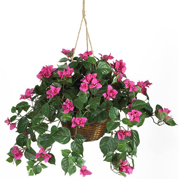 Bougainvillea Silk Plant Hanging Basket - Green