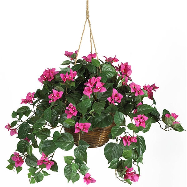 Bougainvillea Silk Plant Hanging Basket - Green