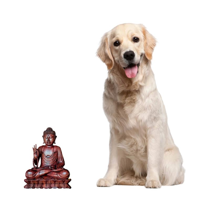 NOVICA Wood 'Serene Buddha' Statuette (Indonesia)