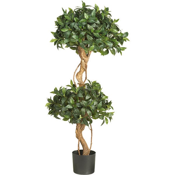 double ball topiary tree real