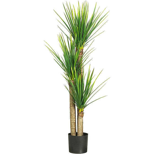 58.5-inch Triple Stalk Yucca Silk Tree