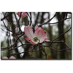 slide 1 of 1, Cary Hahn 'Pink Dogwood' Gallery Wrapped Canvas Art