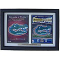 Florida Gators 2006 National Football Championship Framed Print