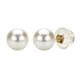 DaVonna 14k Yellow Gold AAA+ White Round Freshwater Pearl Stud Earrings with Gift Box - Thumbnail 4