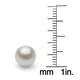DaVonna 14k Yellow Gold AAA+ White Round Freshwater Pearl Stud Earrings with Gift Box - Thumbnail 6