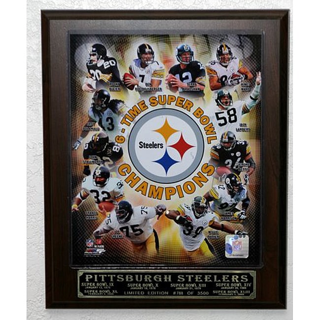 Pittsburgh Steelers 2009 Superbowl Champions Picture Plaque - Free ...