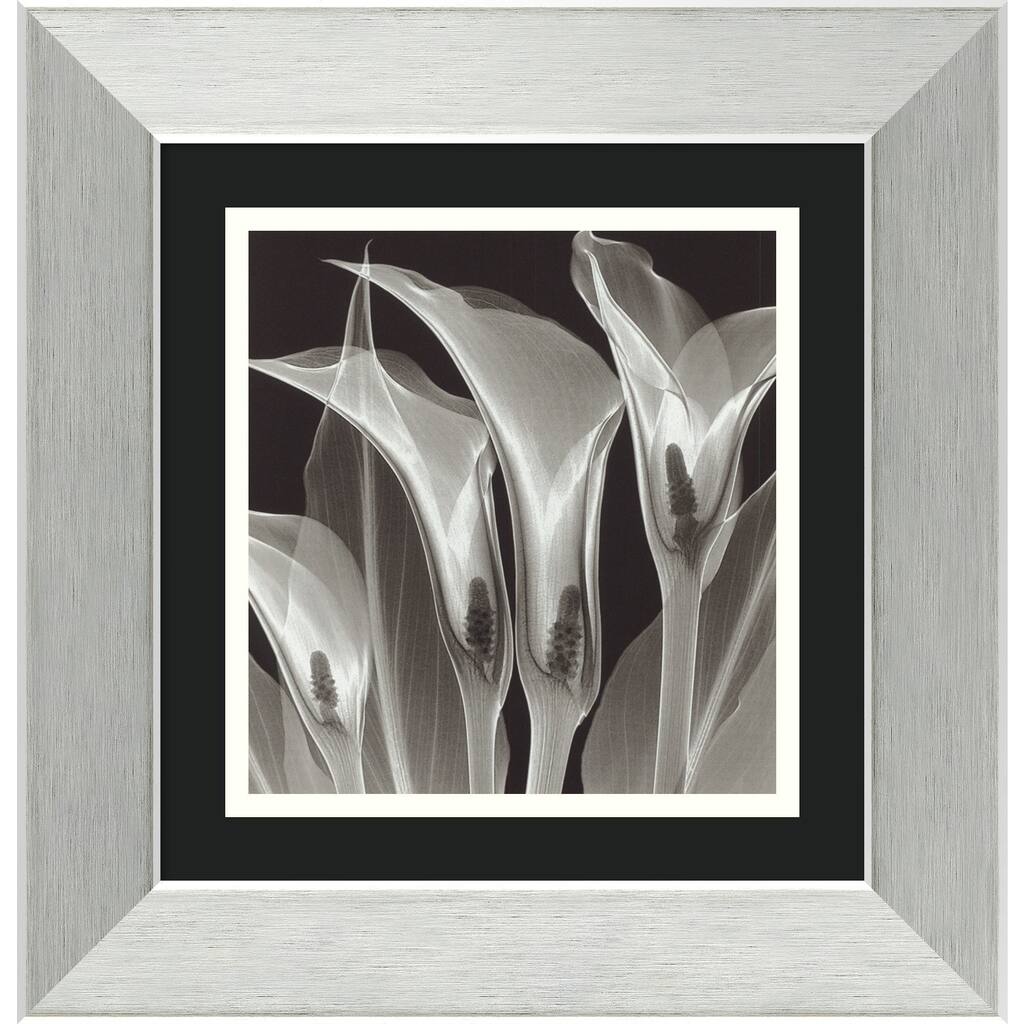 Framed Art Print 'Four Callas #3' by Steven N. Meyers 14 x 14-inch