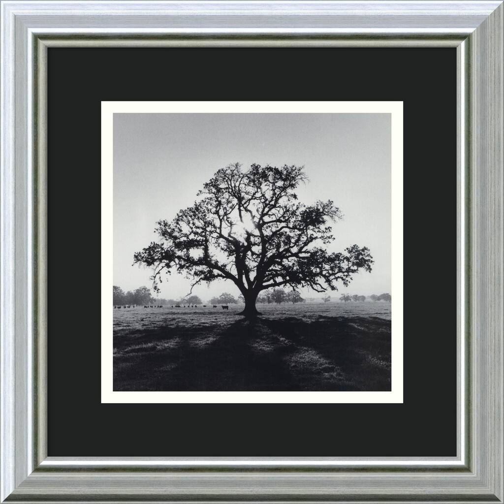 Ansel Adams 'Oak Tree, Sunrise, Northern California, 1966' Framed Art Print