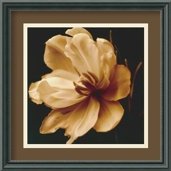 Framed Art Print 'Timeless Grace III' by Charles Britt 16 x 16-inch