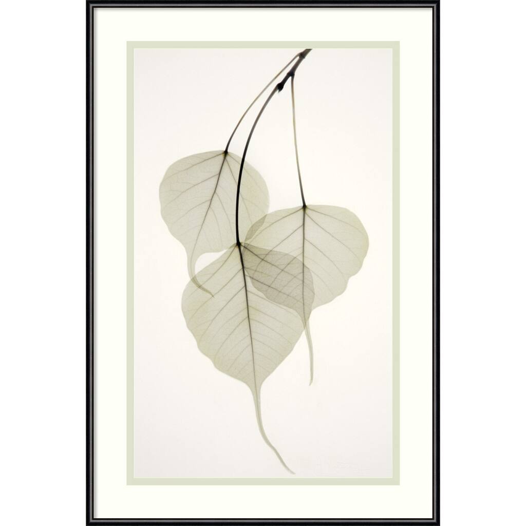 Framed Art Print 'Bo Tree' by Albert Koetsier 15 x 22-inch