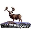 Upstream Images 'Walking Tall' Color Window Decal