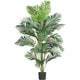 preview thumbnail 1 of 0, Paradise Palm 7-foot Silk Tree