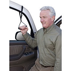 Standers Assistive Car Caddie