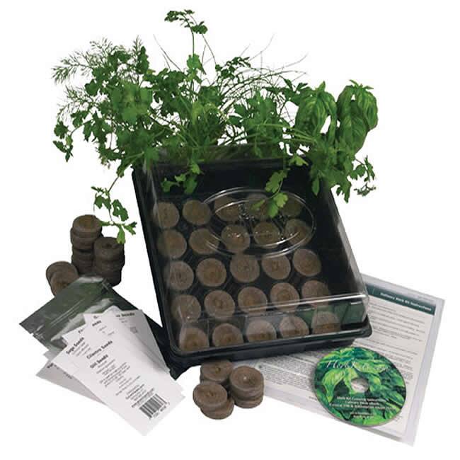 Indoor Culinary Herb Garden Starter Kit