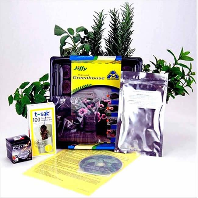 Indoor Herbal Tea Herb Garden Starter Kit with Comprehensive Instructions