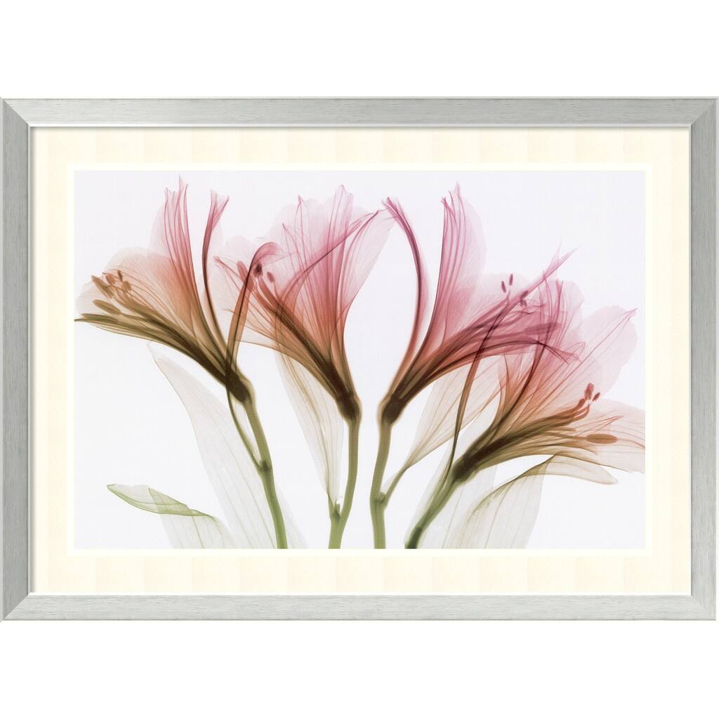 Framed Art Print Alstromeria by Steven N. Meyers 30 x 22-inch