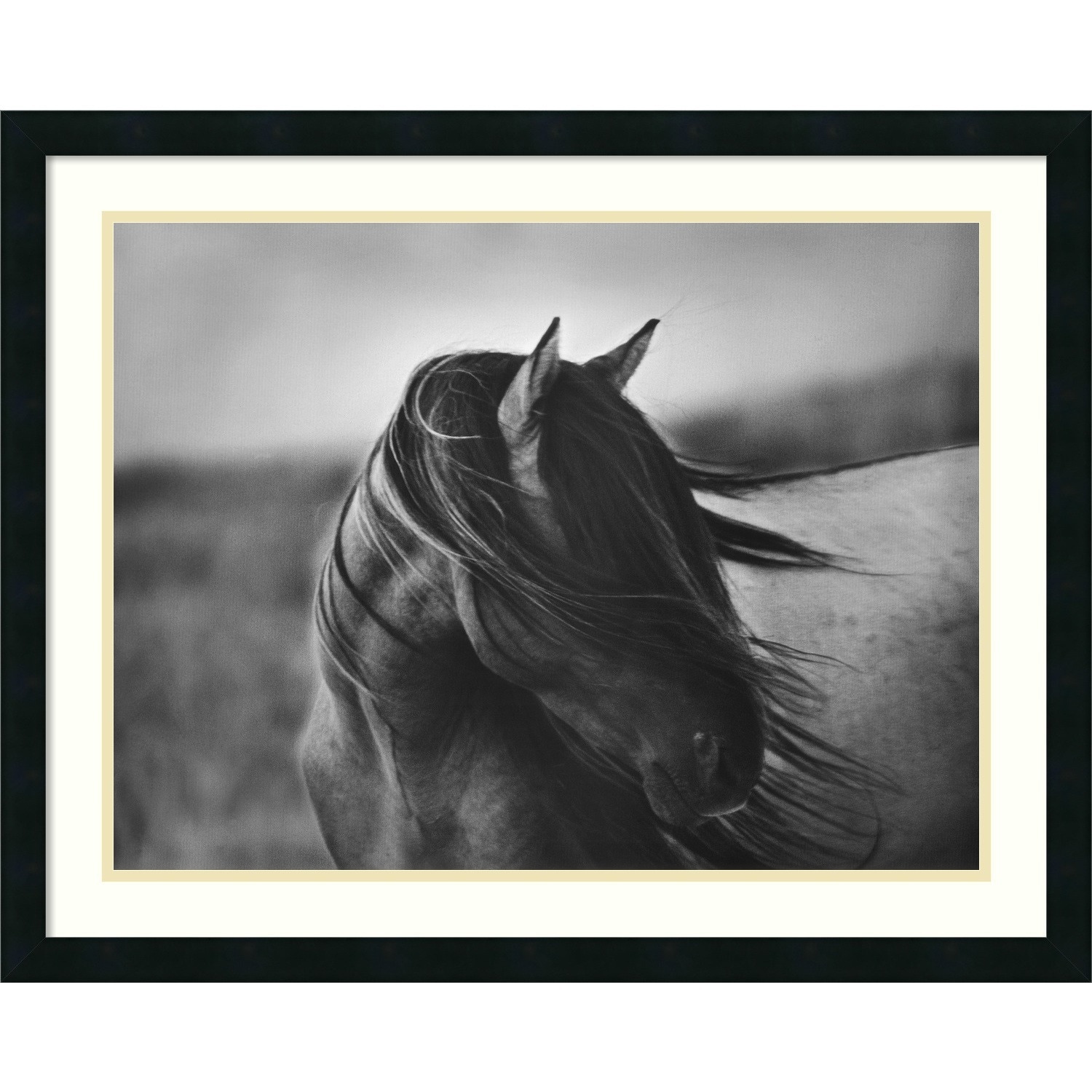 Shop Tony Stromberg 'Fierce Grace' Framed Art Print - Free Shipping ...