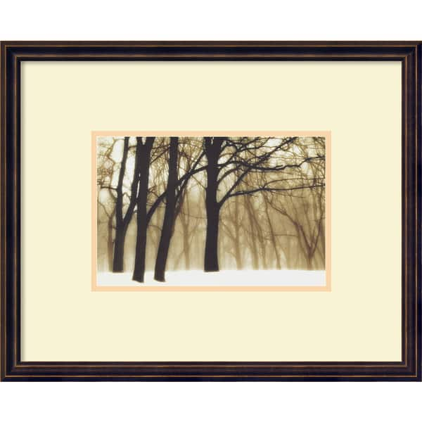 David Lorenz 'Winston Past Dreams, 2002' Framed Art Print - Bed Bath ...