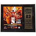 LeBron James Most Valuable Player Photograph