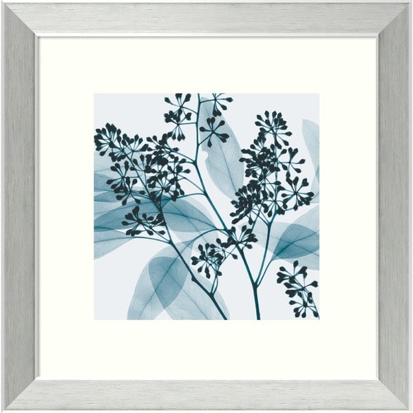 Framed Art Print 'Eucalyptus II' by Steven N. Meyers 14 x 14inch