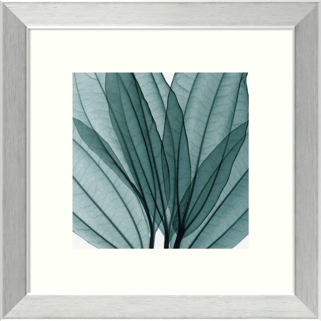 Framed Art Print 'Leaf Bouquet' by Steven N. Meyers 14 x 14-inch