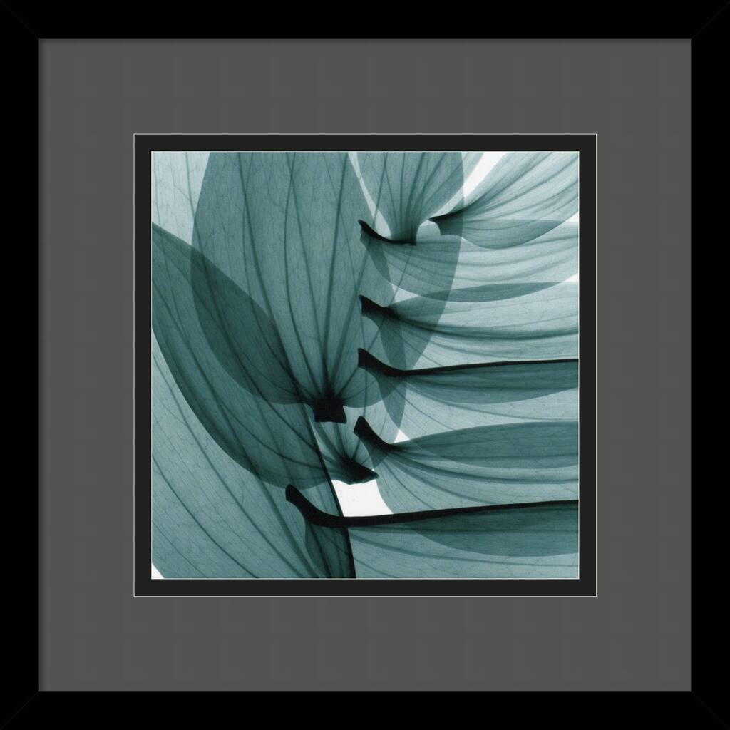 Framed Art Print 'Lily Leaves' by Steven N. Meyers 14 x 14-inch