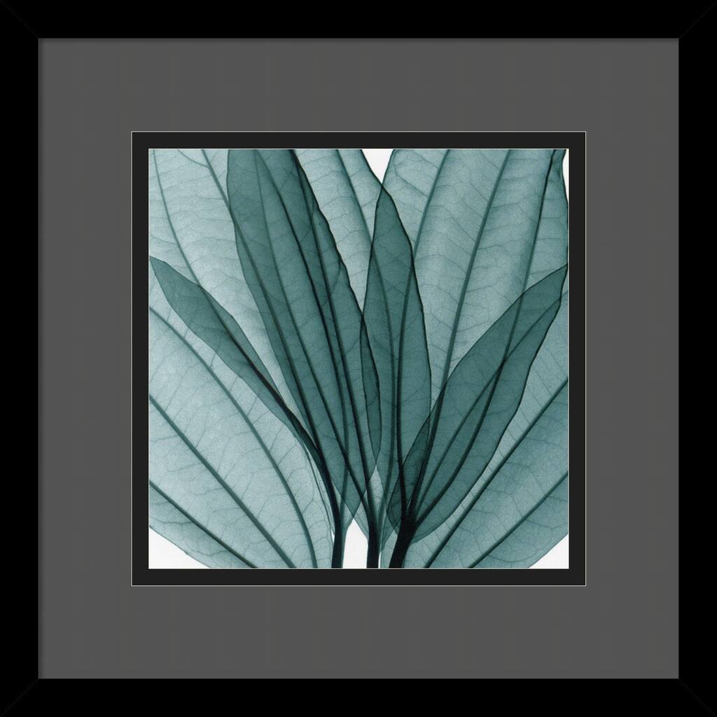 Framed Art Print 'Leaf Bouquet' by Steven N. Meyers 14 x 14-inch