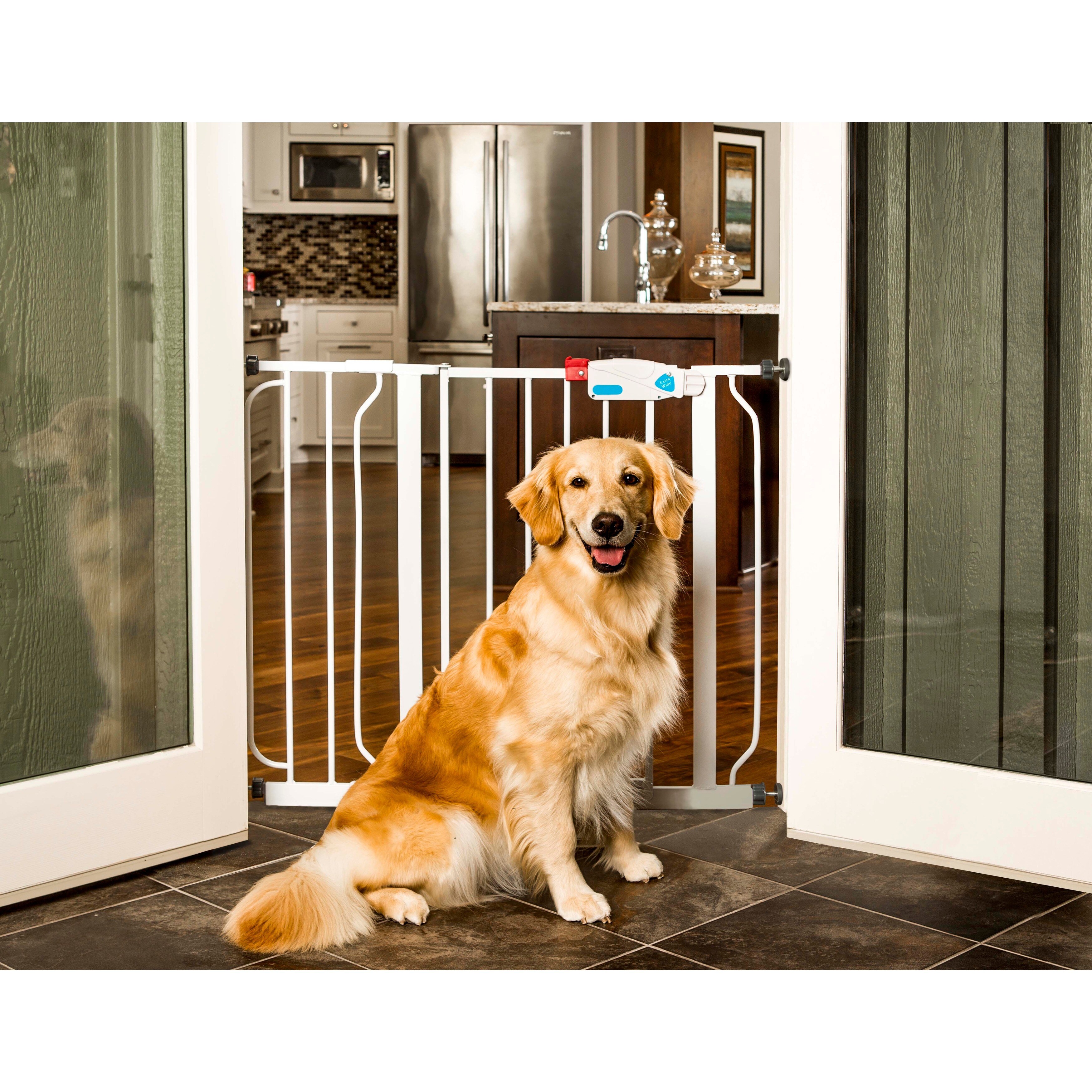 Carlson extra wide clearance gate with pet door