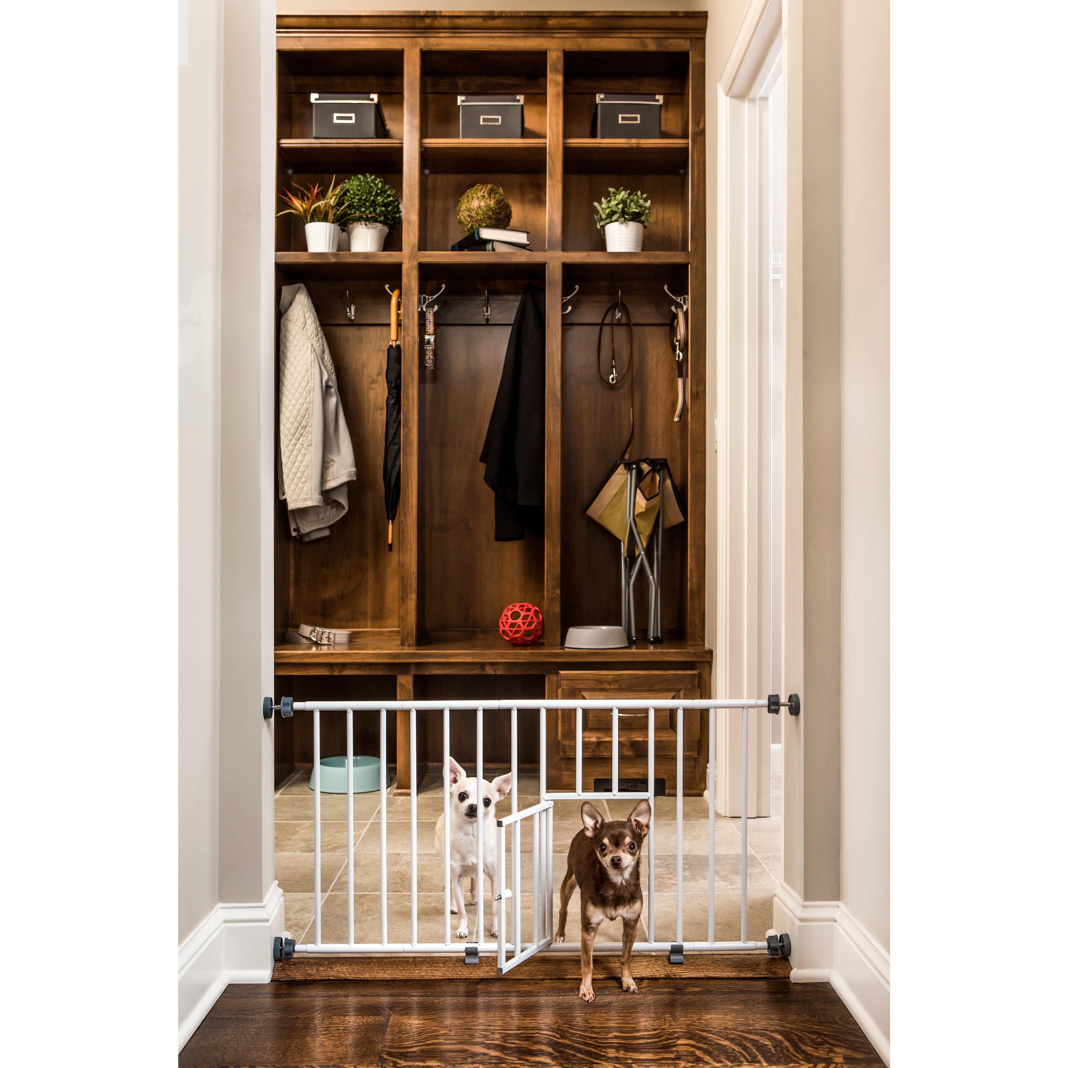 Shop Carlson White Mini 18 Inch Tall Pet Gate With Pet Door Chew
