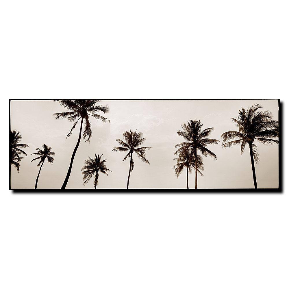 Preston 'Black & White Palms' Canvas Art