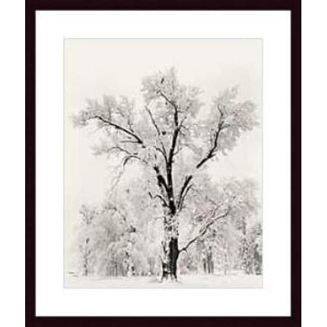 Ansel Adams 'Oak Tree' Wood Framed Art Print