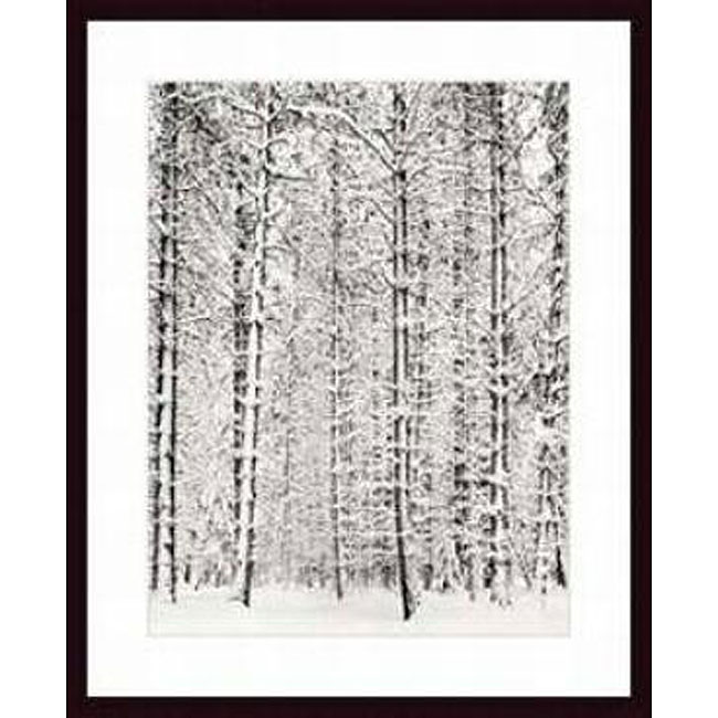 Ansel Adams 'Pine Forest in the Snow, Yosemite National Park' Art ...