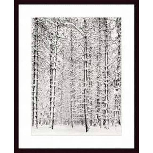 Ansel Adams 'Pine Forest in the Snow, Yosemite National Park' Art ...