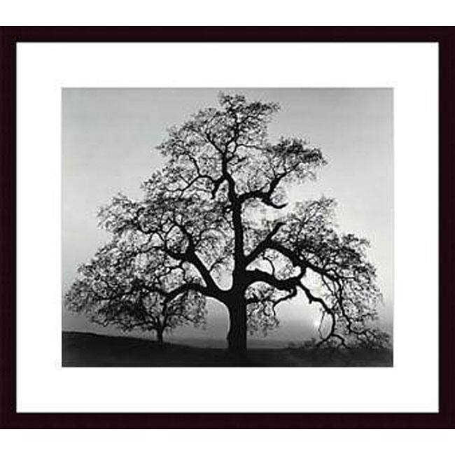 Ansel Adams 'Oak Tree, Sunset City, California' Art Print