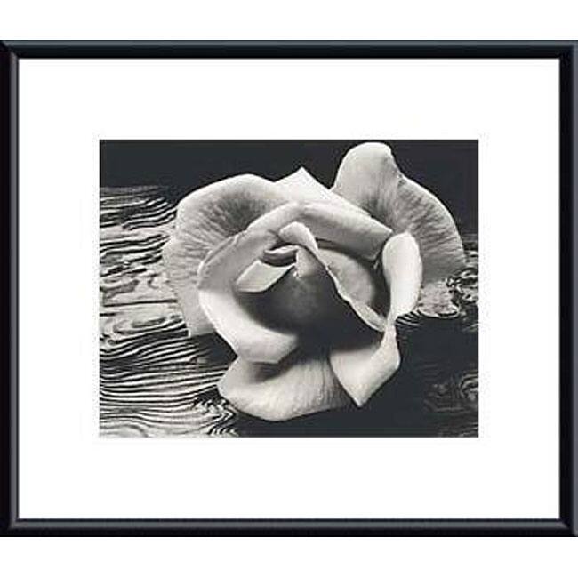Ansel Adams 'Rose and Driftwood' Metal Framed Art Print