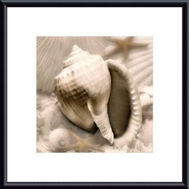 Donna Geissler 'Iridescent Seashell III' Framed Print